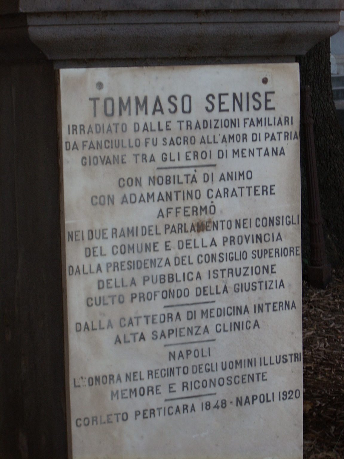 Tommaso%20Senise%20bust%2C%20Cimitero%20Poggioreale%2C%20Naples%20-%2003.JPG